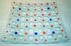 P6.jpg (572754 byte)